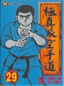 极真派白手道