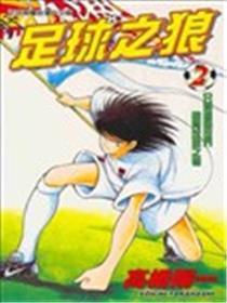 野狼先锋足球传