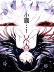 邪术奼女小圆☆魔兽篇