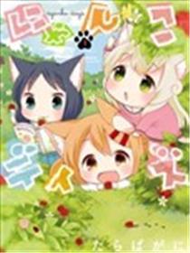 猫咪平常