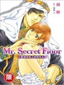 Mr.Secret Floor～披发戈壁之香的汉子～