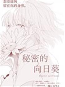 奥秘的向日葵