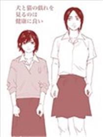 看猫狗游玩无益身材安康
