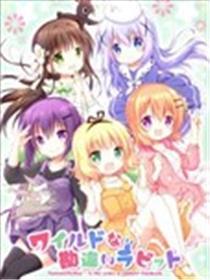 狂野的误解兔子