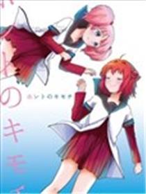 真实的情意