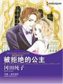 被谢绝的公主