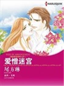 爱憎迷宫