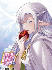 魔奴嫁