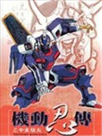 灵活忍传