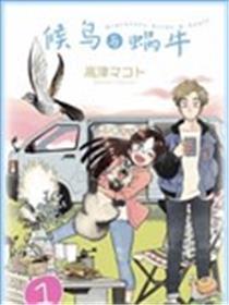 留鸟与蜗牛