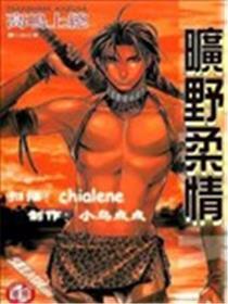 田野柔情