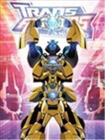 变形金刚08动画版：黄蜂魁首
