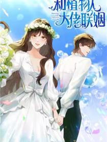 和动物人大佬联婚