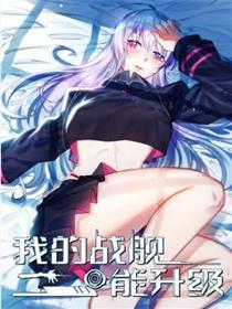 我的战舰能进级