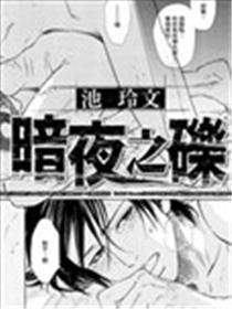 暗夜之砾