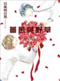 蔷薇与野草