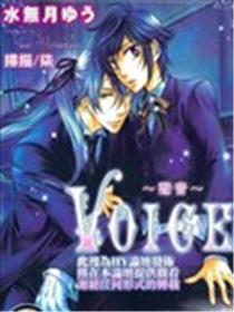 VOICE声响