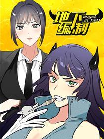 公开体例
