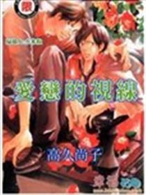 爱恋的视野