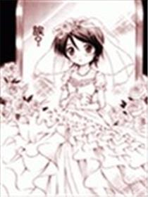 奥秘的新娘蜜斯