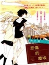 感慨的灰尘