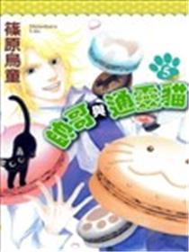 帅哥与通灵猫
