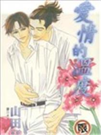 恋情的温度