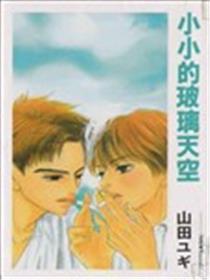 小小的玻璃天空