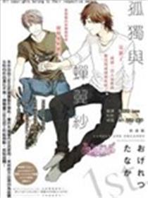 孤傲与蝉翼纱