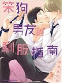 笨狗男朋友的顺服指南