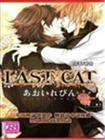 LAST CAT