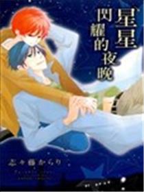 星星闪烁的夜晚