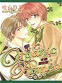 Organic Romeo无机罗密欧