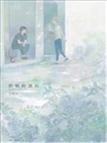 折射的宝石Labradorescence