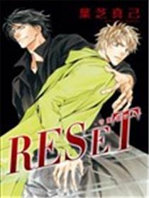 RESET-保护灵情人-