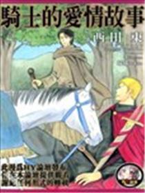骑士的恋情故事