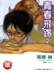 芳华飞踢