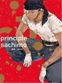 principle准绳
