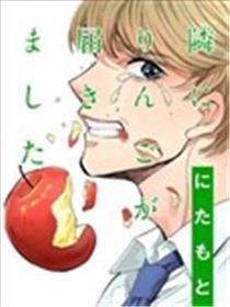 苹果离开我隔邻