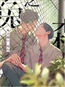 兔之森