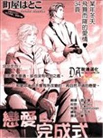 恋情实现式