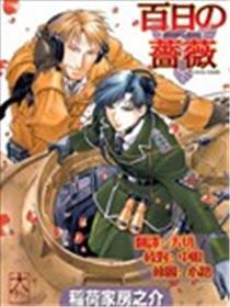 百日蔷薇
