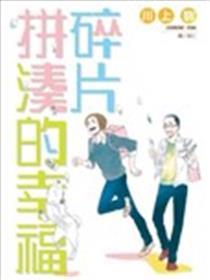 碎片拼集的幸运