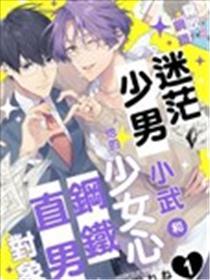 苍茫少男小武和他的奼女心钢铁直男工具