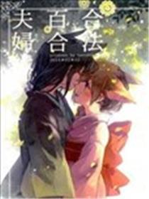 正当百合佳耦本