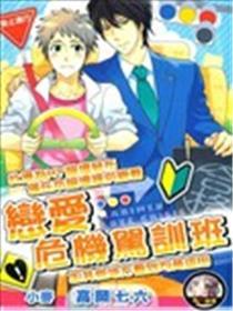 恋情危急驾训班