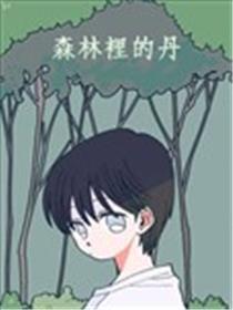 丛林里的丹